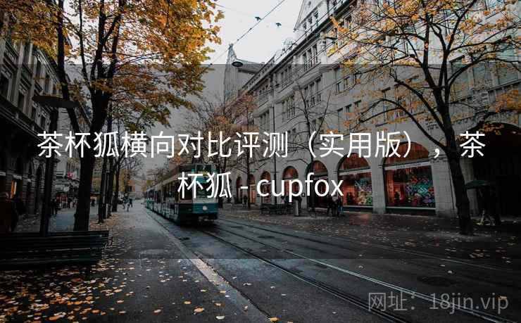 茶杯狐横向对比评测（实用版），茶杯狐 - cupfox