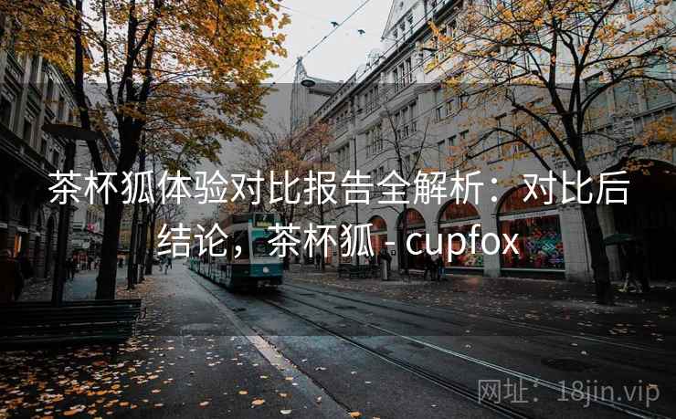 茶杯狐体验对比报告全解析:对比后结论,茶杯狐 - cupfox