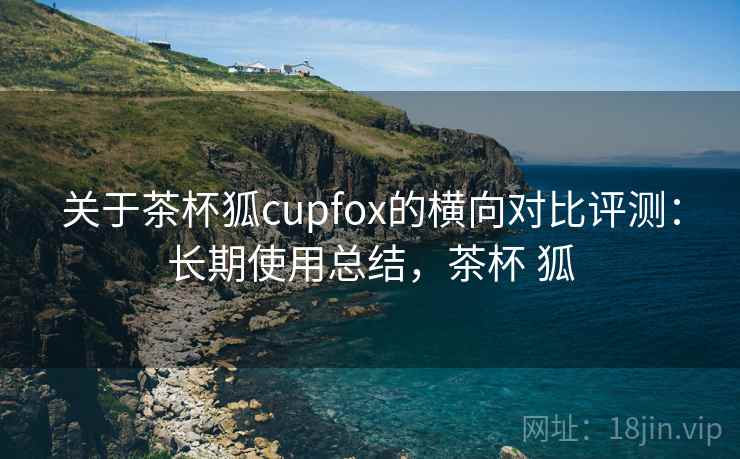 关于茶杯狐cupfox的横向对比评测：长期使用总结，茶杯 狐